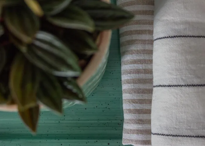 Maggie House * Piacenza